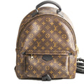 Louis Vuitton Palm Springs MM