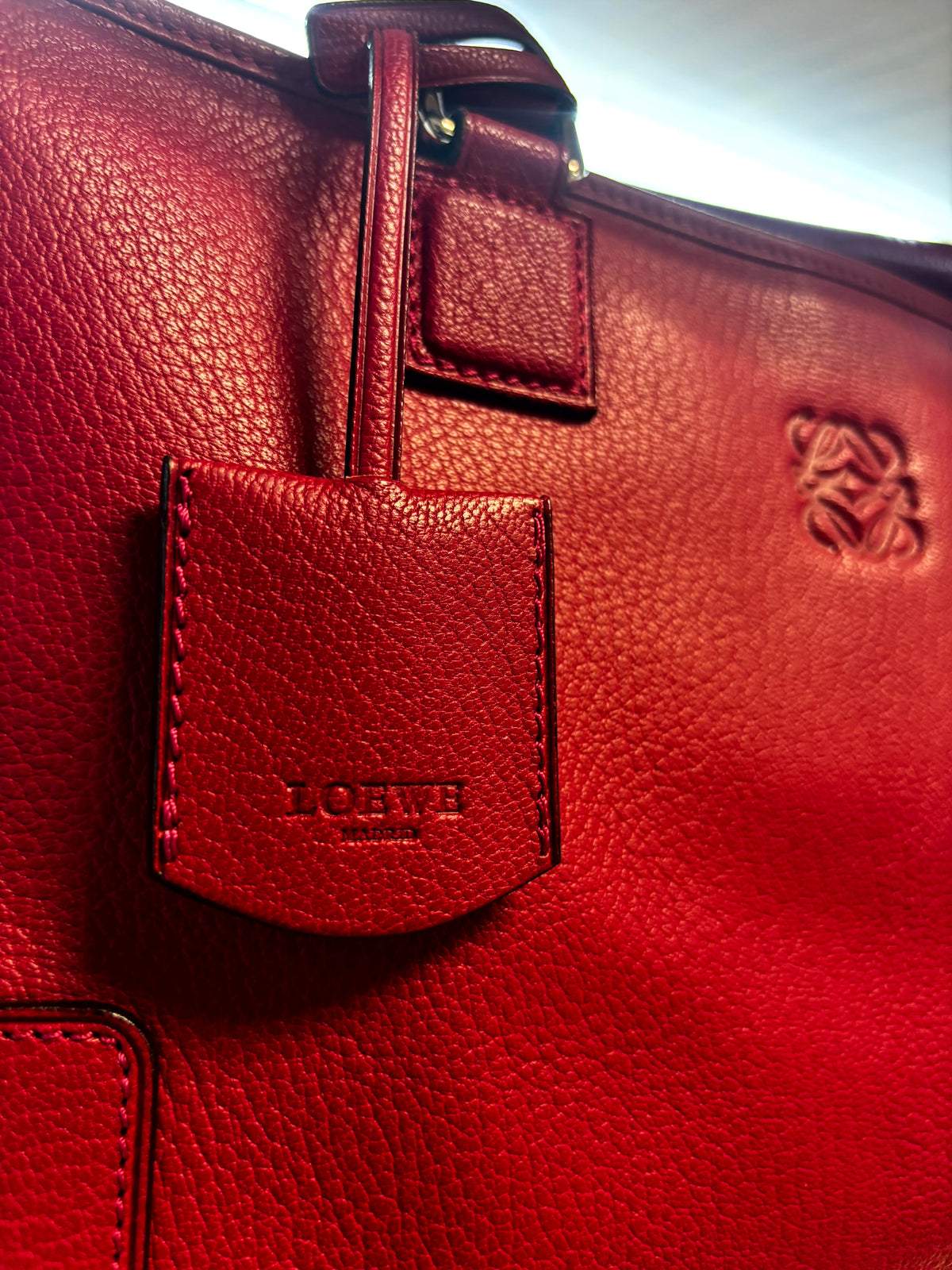 Loewe Amazona Handbag