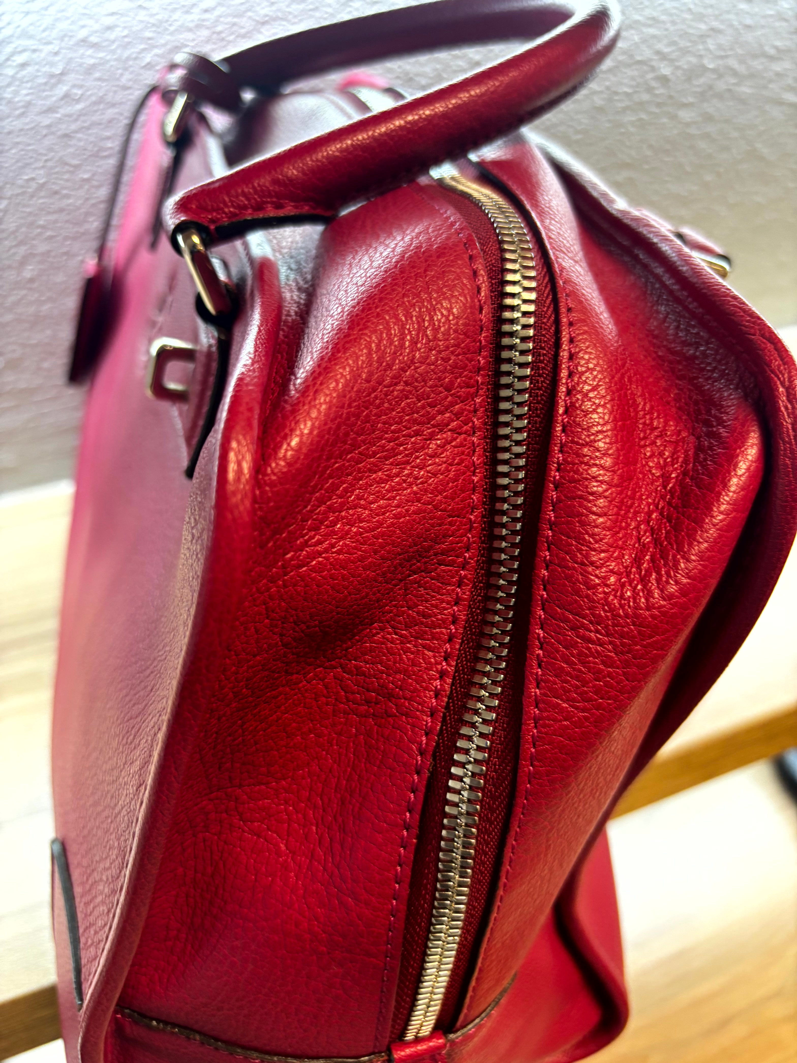 Loewe Amazona Handbag