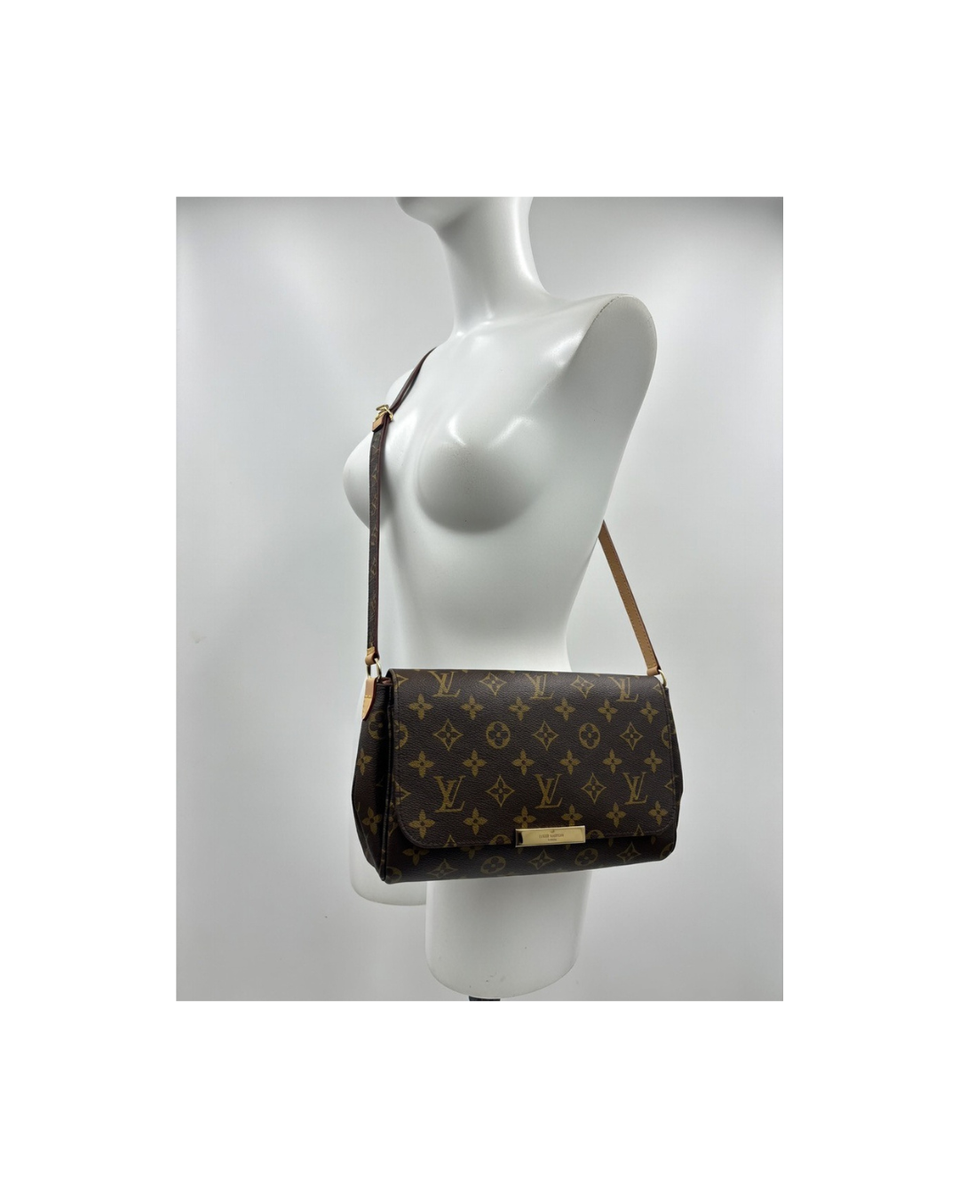 Louis Vuitton Model Favorite MM Bag in Monogram Canvas
